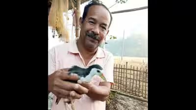 असम के 'हॉर्नबिल गांव' के भरत बोरा से मिलें, जो 30 वर्षों से घायल पक्षियों और जानवरों के लिए कृत्रिम पैर बनाकर उन्हें बचा रहे हैं; उनका घर अब एक अनौपचारिक बचाव केंद्र है