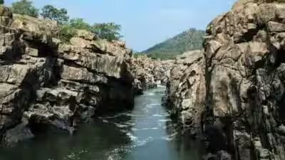 मेकेदातु मुद्दे पर केंद्र की प्रतिक्रिया पर विपक्षी दलों ने जताई चिंता | चेन्नई समाचार