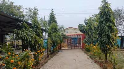 यूपी के 3,890 स्कूलों के ऊपर से अब भी गुजरती हैं हाई-टेंशन लाइनें; करीब 2 लाख बच्चे खतरे में