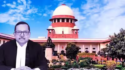 भारत का सर्वोच्च न्यायालय: ‘कोई भी कानून गंगा नदी के किनारे चिकन खाने पर रोक नहीं लगाता’: सर्वोच्च न्यायालय के न्यायाधीश ने विलंबित जमानत पर रोक लगा दी | भारत समाचार