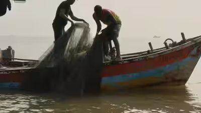 सरकार द्वारा 1 अगस्त को मानसून प्रतिबंध समाप्त करने की घोषणा का महाराष्ट्र के मछुआरों ने विरोध किया | मुंबई समाचार