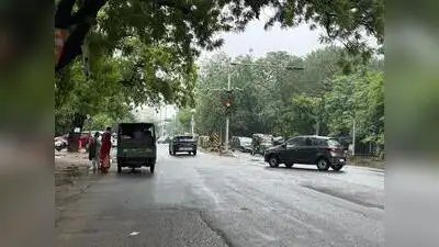 गुड़गांव में अमलताश पर्यावरण मंजूरी पर एसईआईएए के रुख के खिलाफ आरडब्ल्यूए ने एनजीटी का रुख किया | गुड़गांव समाचार