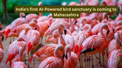 भारत का पहला AI-संचालित पक्षी अभयारण्य महाराष्ट्र में आ रहा है; यहाँ यात्री क्या उम्मीद कर सकते हैं