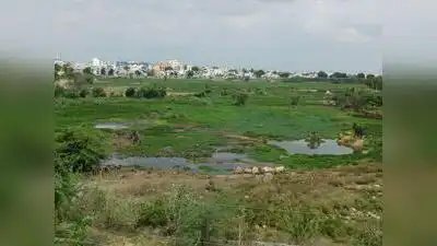 आरके पुरम झील कचरे के ढेर में तब्दील, 7 साल की बहाली परियोजना रुकी | हैदराबाद समाचार