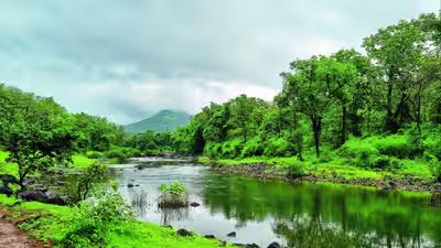 पश्चिमी घाट पारिस्थितिक क्षेत्र: केंद्र ने पश्चिमी घाट में पारिस्थितिक क्षेत्रों के लिए 7वें मसौदे को अधिसूचित किया | भारत समाचार